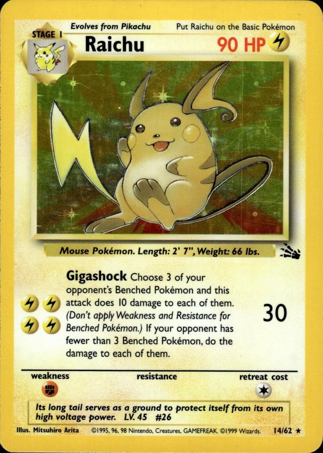 Raichu (14)