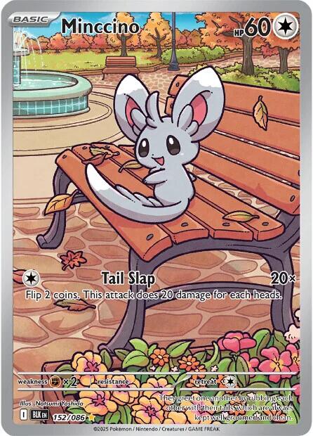Minccino - 152/086 [BLK - 152/086]