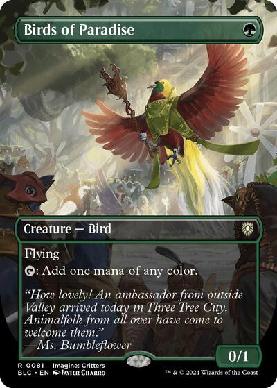 Birds of Paradise (Borderless) (Commander: Bloomburrow) Light Play