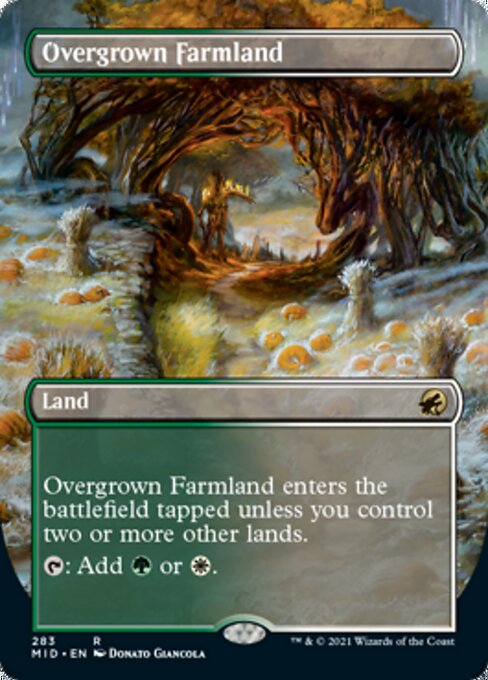 Overgrown Farmland (Borderless) (Innistrad: Midnight Hunt) Light Play Foil