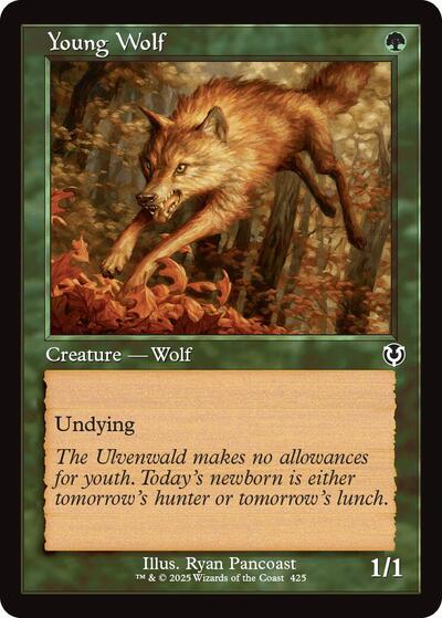 Young Wolf (Retro Frame) (Innistrad Remastered) Light Play